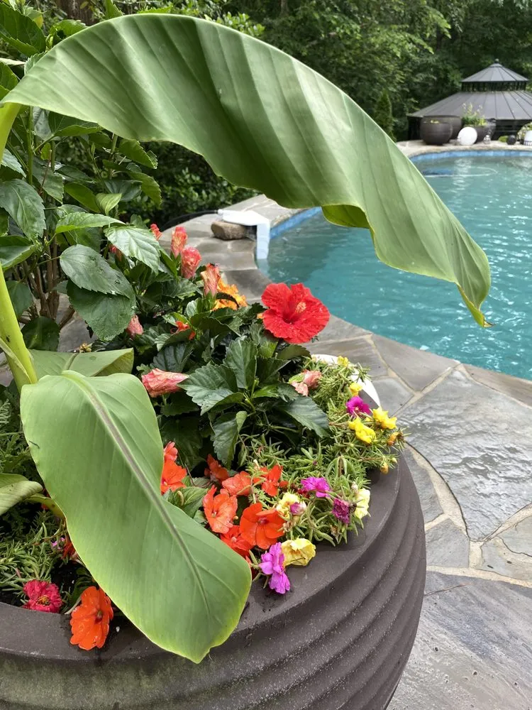 Trusted yard cleanup service for year-round maintenance across Marietta, GA - Gardening Thyme