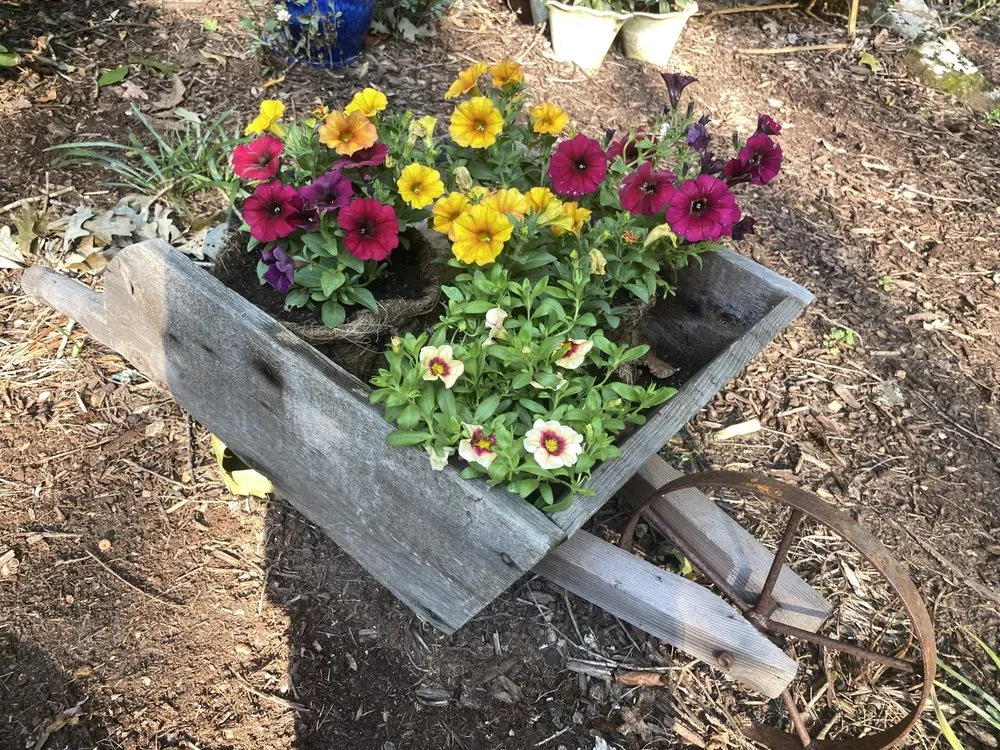 Affordable residential landscaping for outdoor upgrades across Marietta, GA - Gardening Thyme