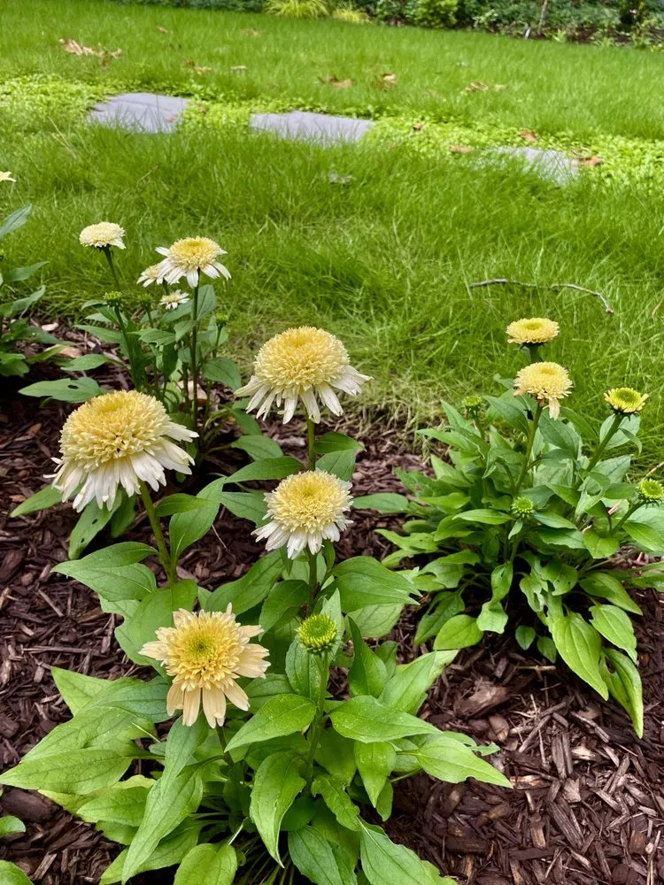 Expert garden landscaping for year-round maintenance in Marietta, GA by Gardening Thyme