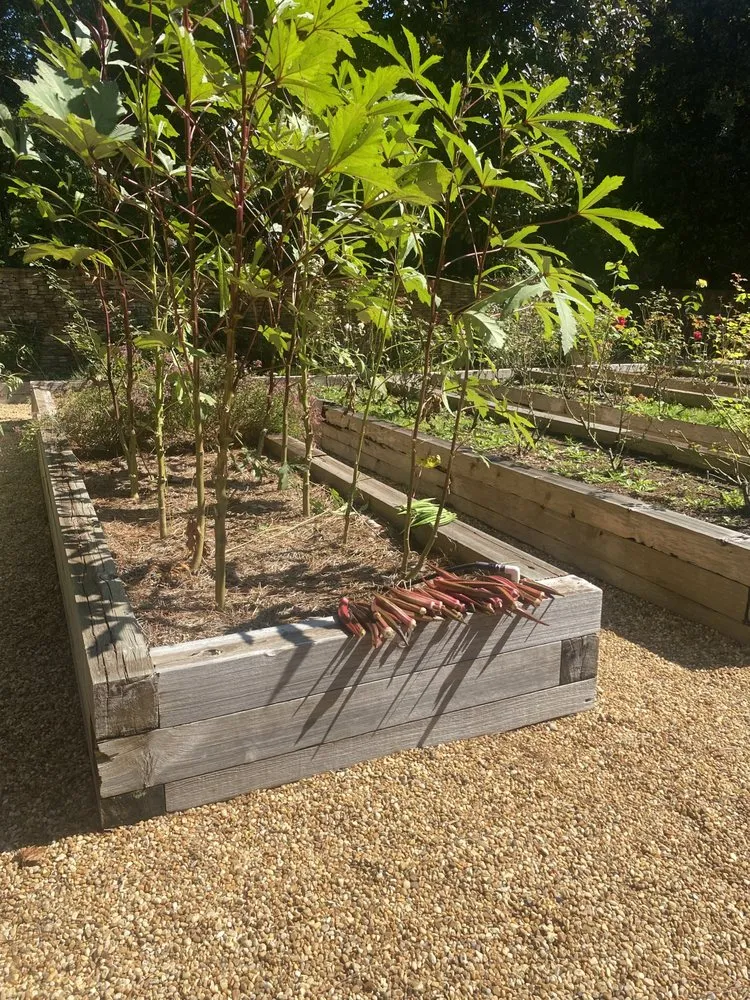 Trusted outdoor landscaping in Marietta, GA by Gardening Thyme