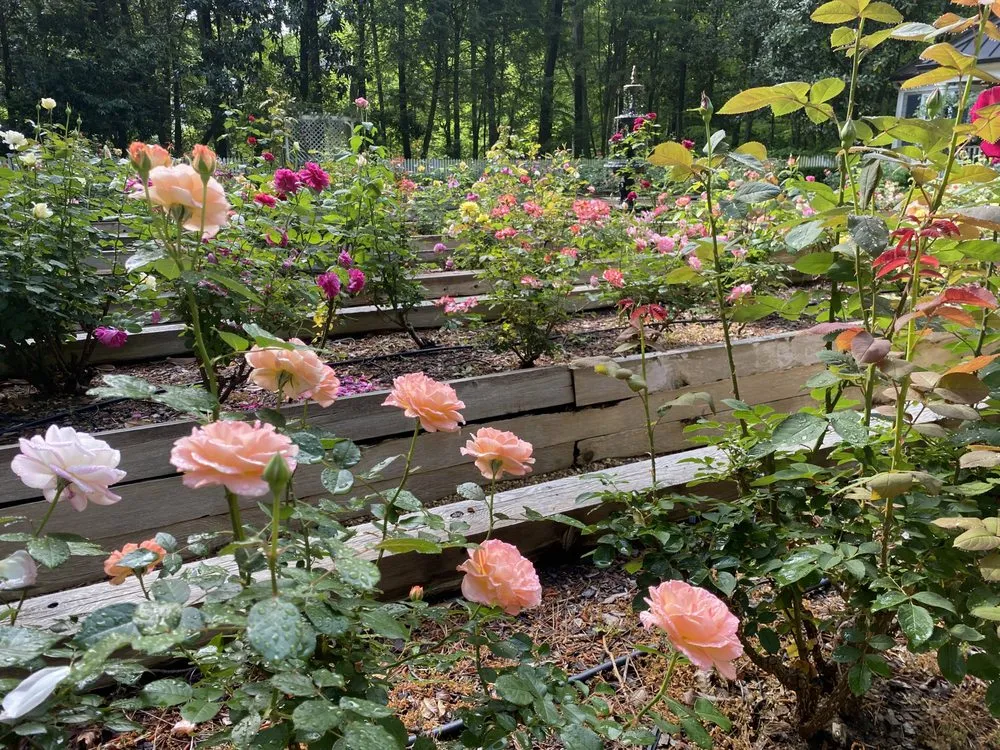 Reliable landscaping services in Marietta, GA - Gardening Thyme