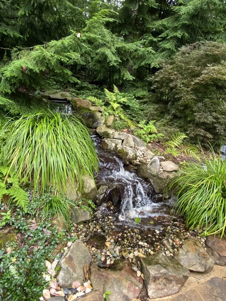 Trusted yard maintenance in Marietta, GA by Gardening Thyme