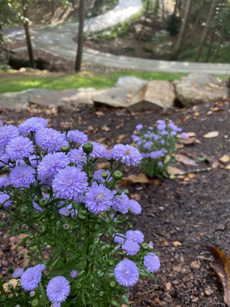 Trusted outdoor landscaping experts serving Marietta, GA - Gardening Thyme