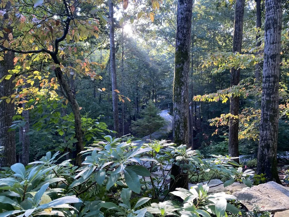 Top-rated landscape installation in Marietta, GA - Gardening Thyme