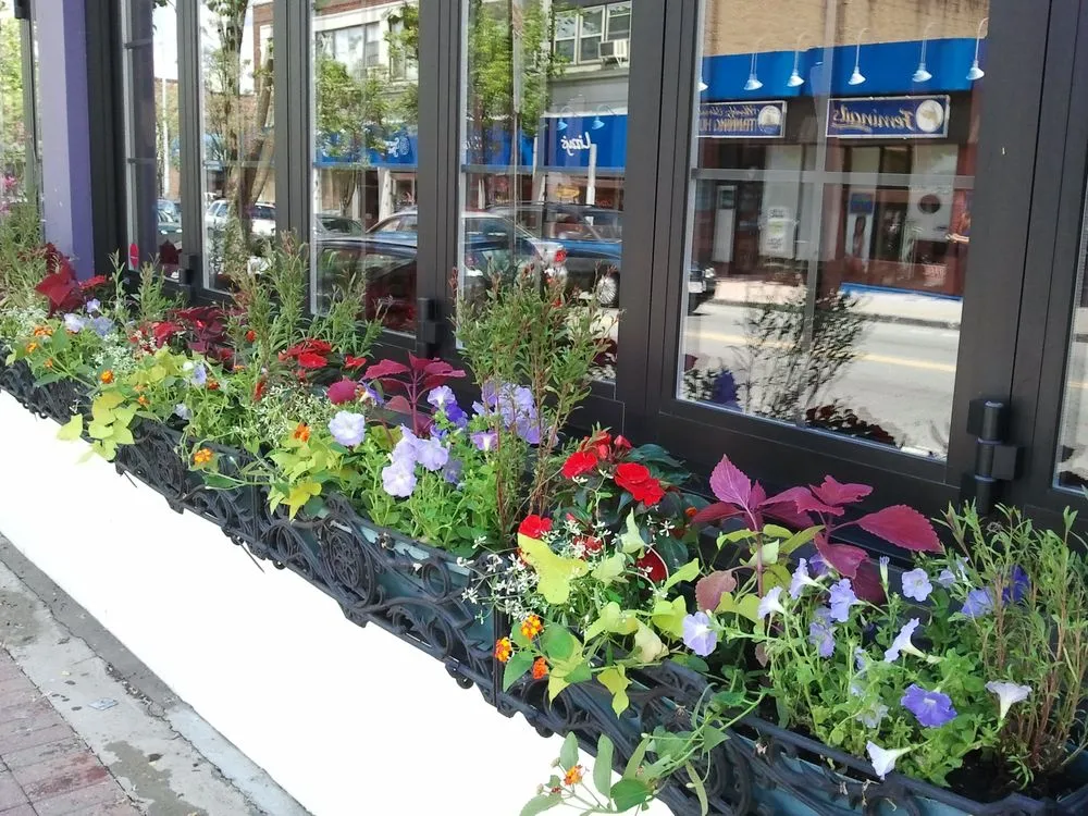 Expert landscaping services for homes in Cambridge, MA by Gardening with Jenny