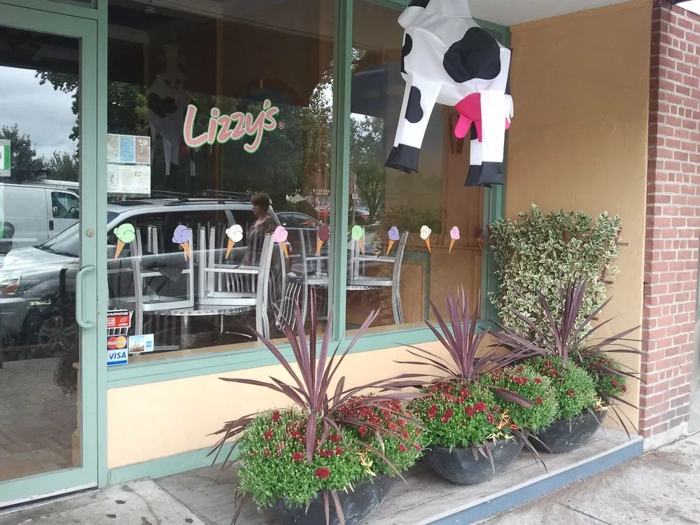 Reliable yard cleanup service experts serving Cambridge, MA - Gardening with Jenny