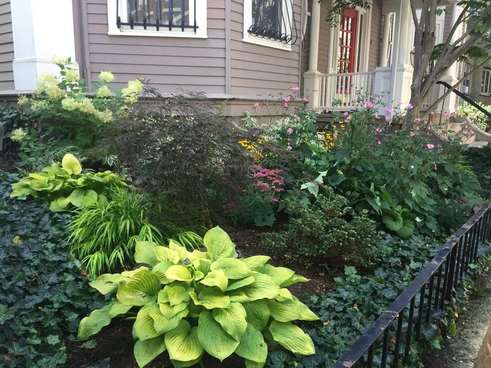 Trusted residential landscaping near you in Cambridge, MA by Gardening with Jenny