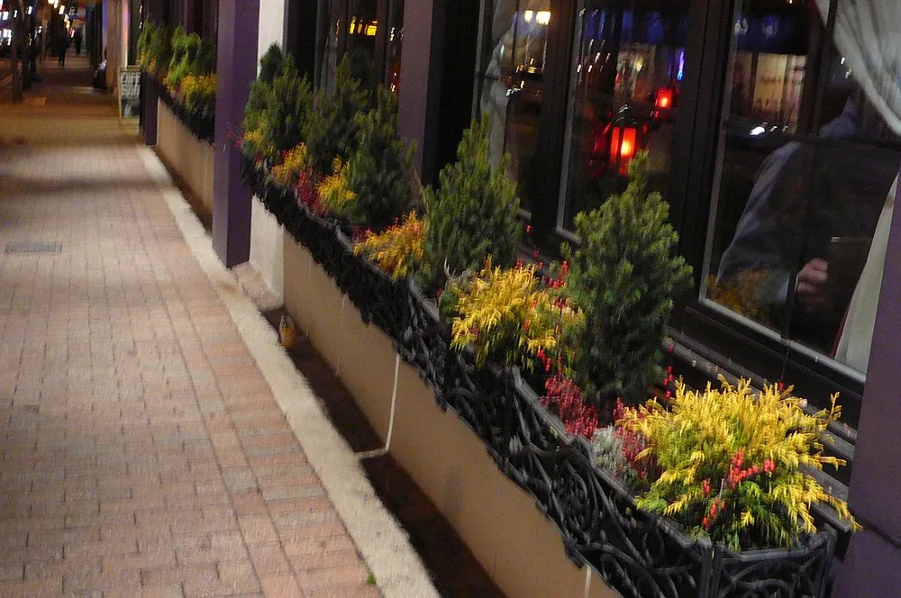 Custom residential landscaping in Cambridge, MA - Gardening with Jenny