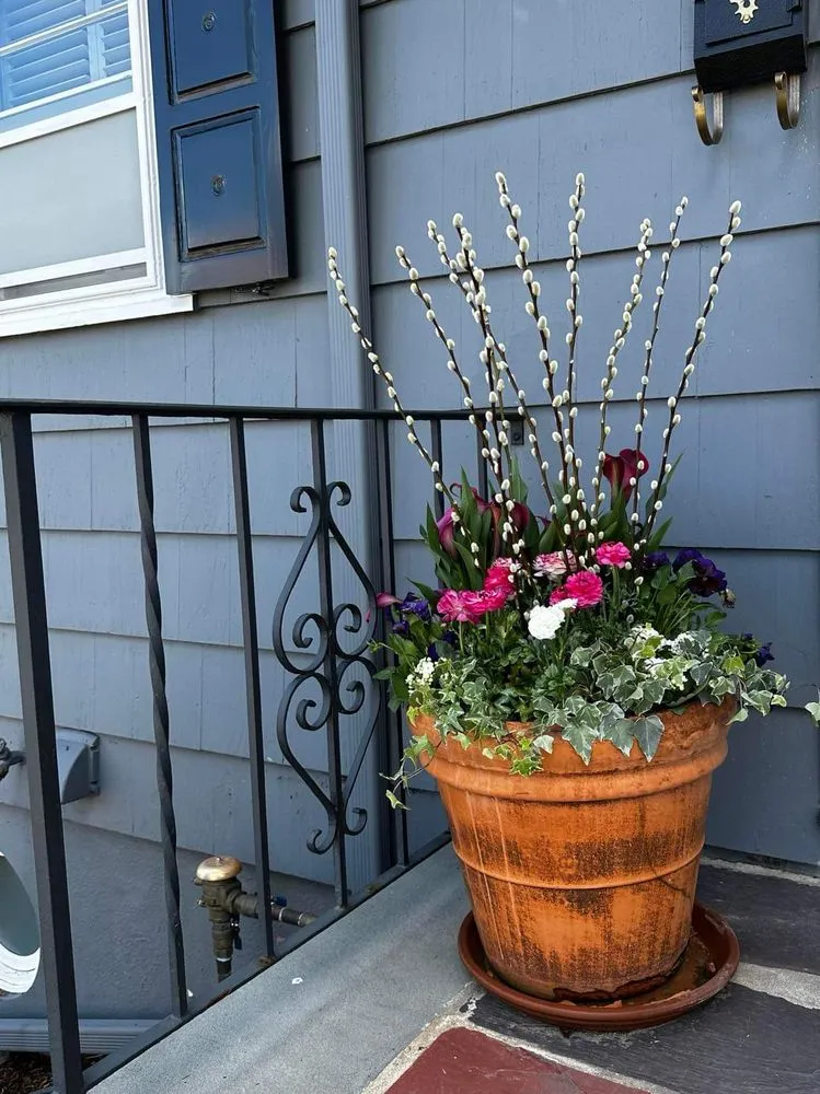 Top-rated yard maintenance for year-round maintenance across Cambridge, MA - Gardening with Jenny