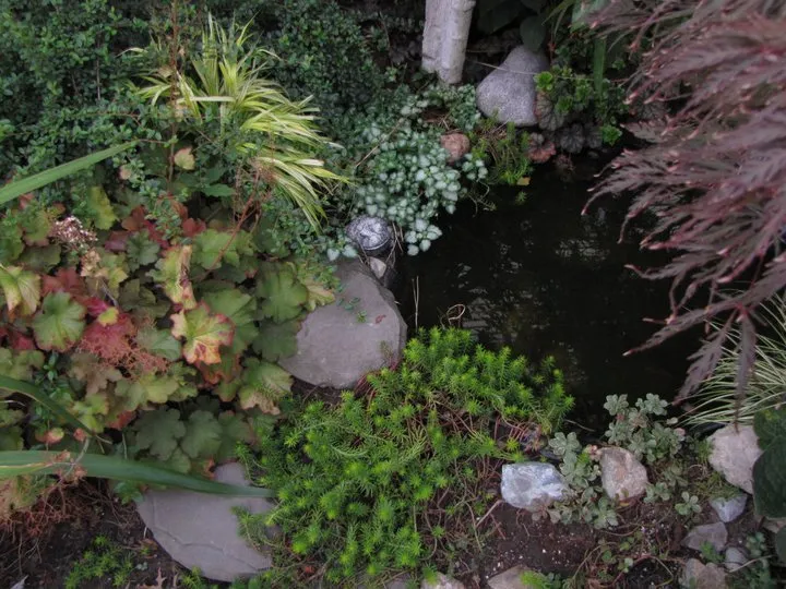 Local outdoor landscaping in Cambridge, MA by Gardening with Jenny