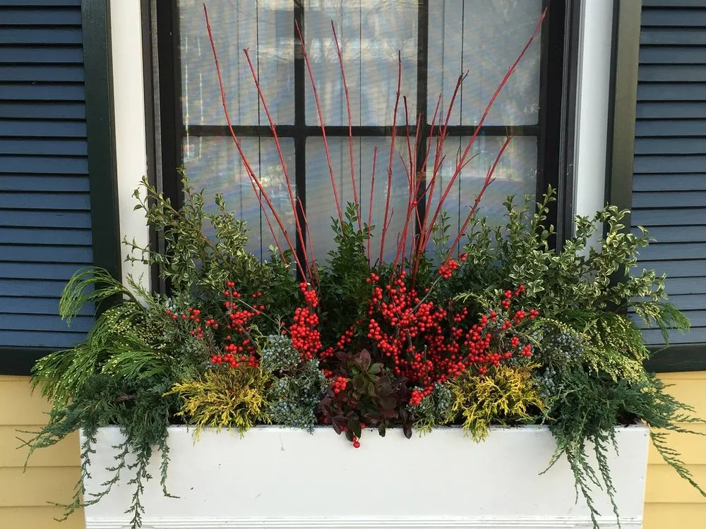 Affordable landscaping services near you in Cambridge, MA by Gardening with Jenny