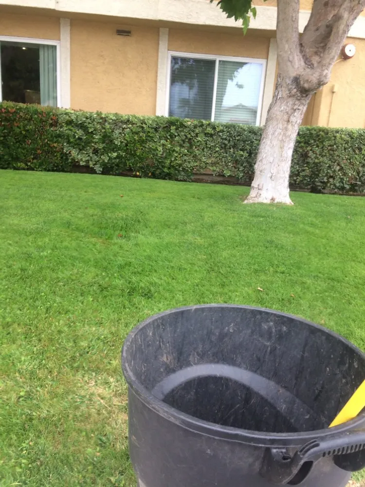 Reliable garden landscaping in Ventura, CA by gardeningservices 4Less