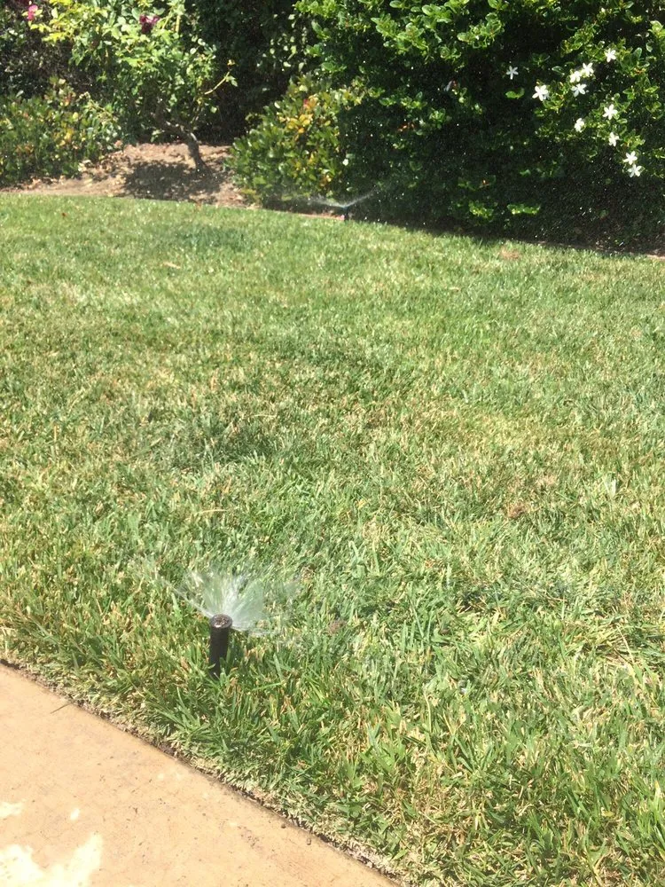 Trusted yard maintenance in Ventura, CA by gardeningservices 4Less