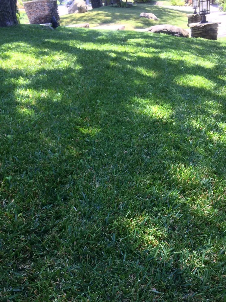 Trusted garden landscaping for year-round maintenance across Ventura, CA - gardeningservices 4Less