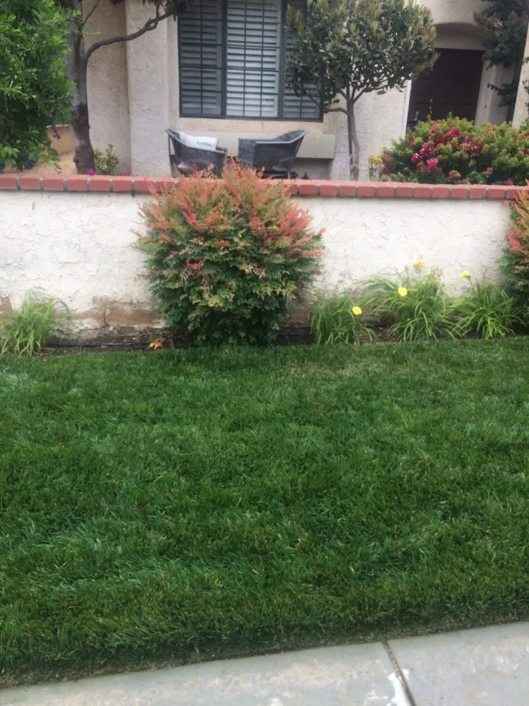 Reliable lawn mowing service in Ventura, CA by gardeningservices 4Less