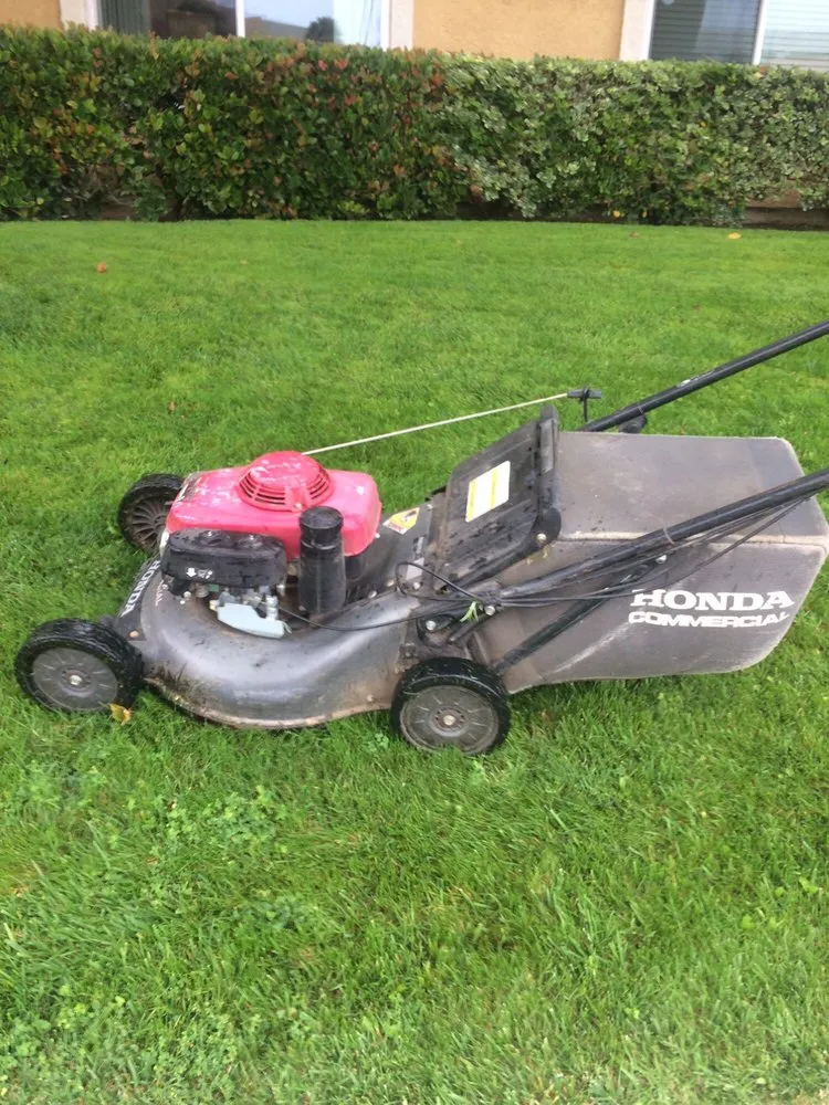 Affordable landscaping services in Ventura, CA by gardeningservices 4Less