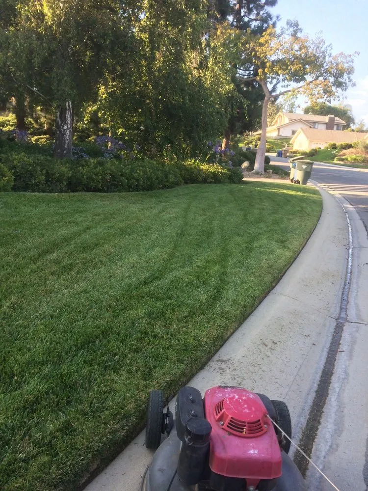 Professional yard cleanup service for year-round maintenance in Ventura, CA by gardeningservices 4Less