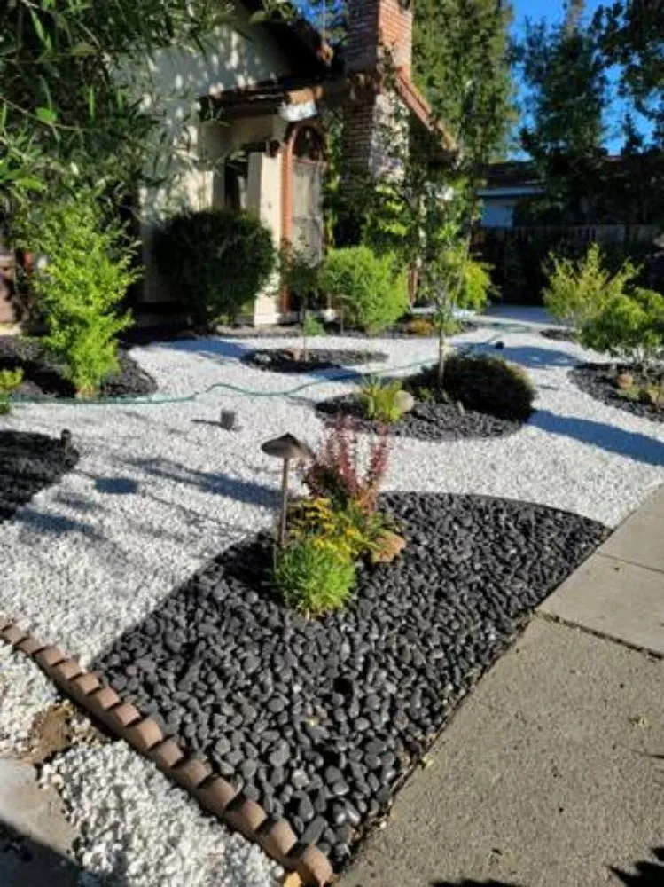 Affordable yard cleanup service in San Jose, CA by Gardenman Landscape Clean Up's