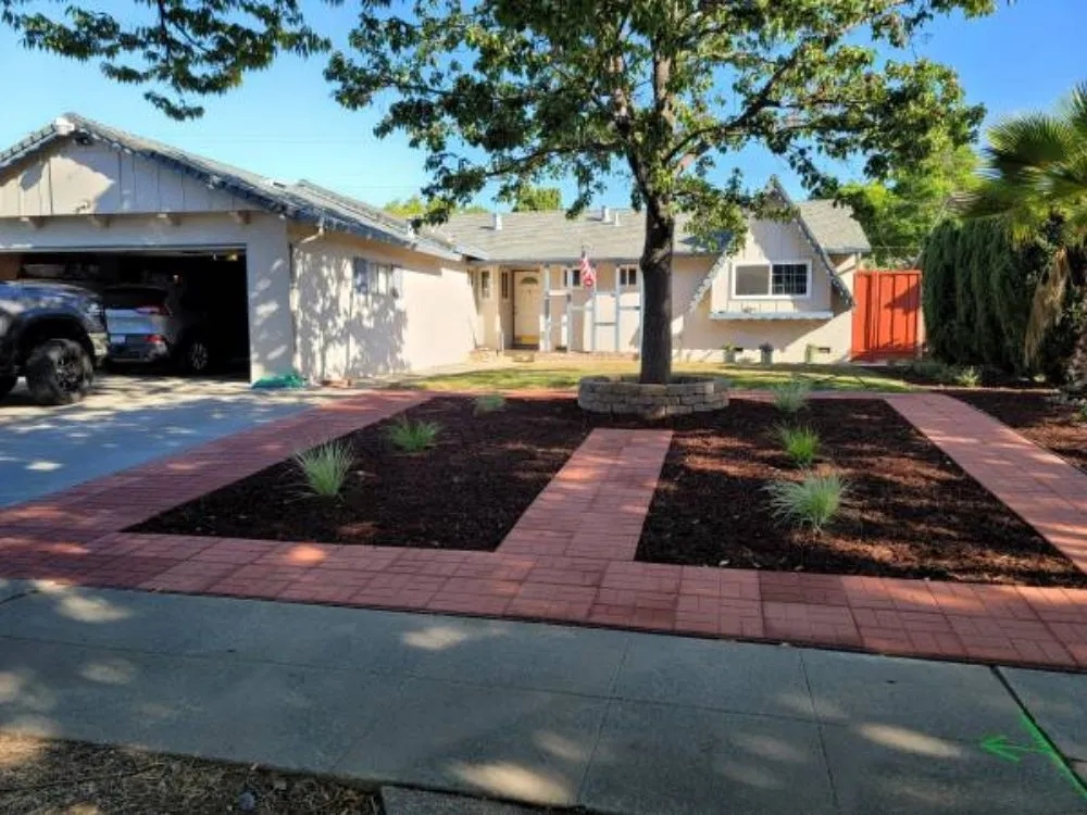 Reliable lawn care service for year-round maintenance across San Jose, CA - Gardenman Landscape Clean Up's