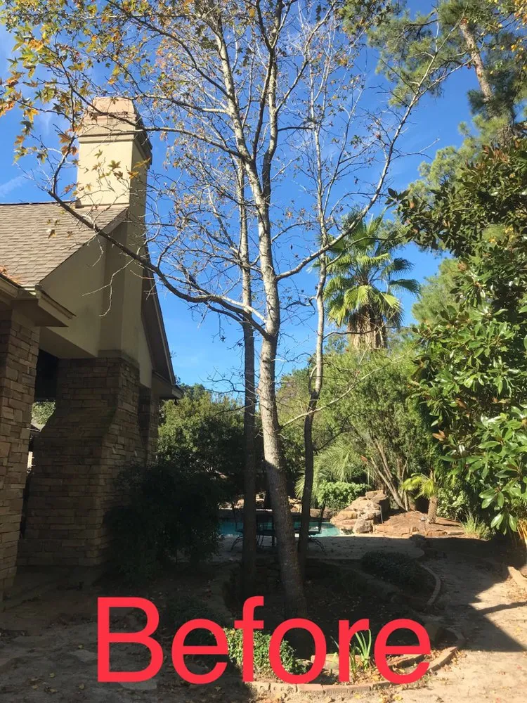 Reliable lawn care service experts serving Magnolia, TX - Gardenmania Landscaping