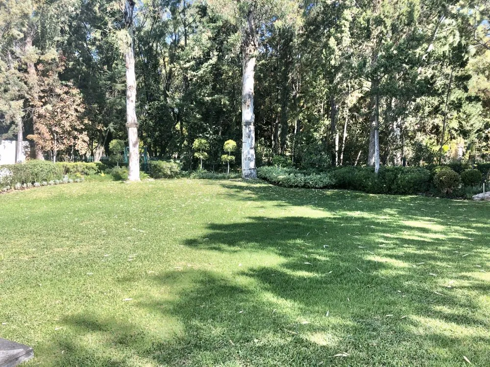 Top-rated lawn care service for year-round maintenance in Magnolia, TX by Gardenmania Landscaping