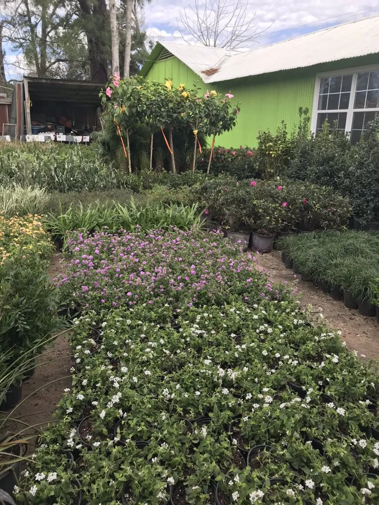 Local lawn care service in Magnolia, TX - Gardenmania Landscaping
