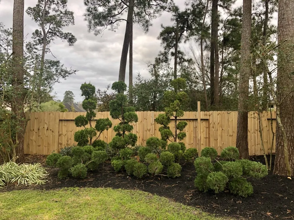 Local lawn care service near you in Magnolia, TX by Gardenmania Landscaping