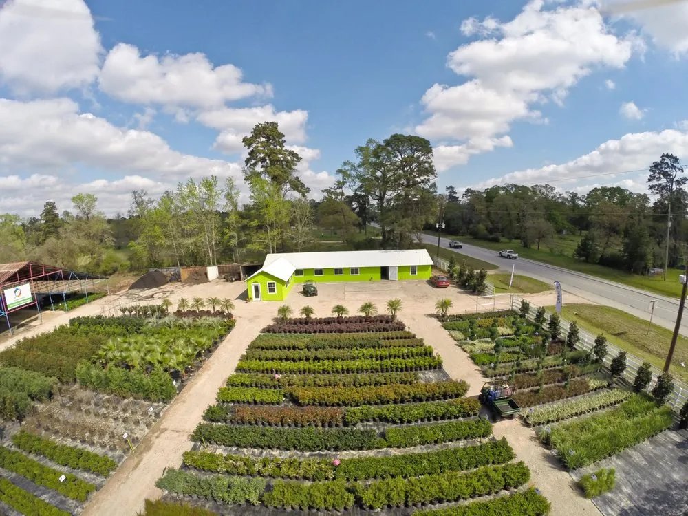 Expert landscape design for outdoor upgrades in Magnolia, TX by Gardenmania Landscaping