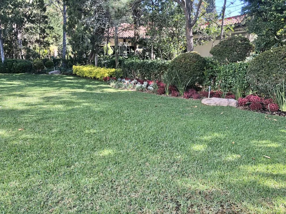 Top-rated landscape design for year-round maintenance across Magnolia, TX - Gardenmania Landscaping