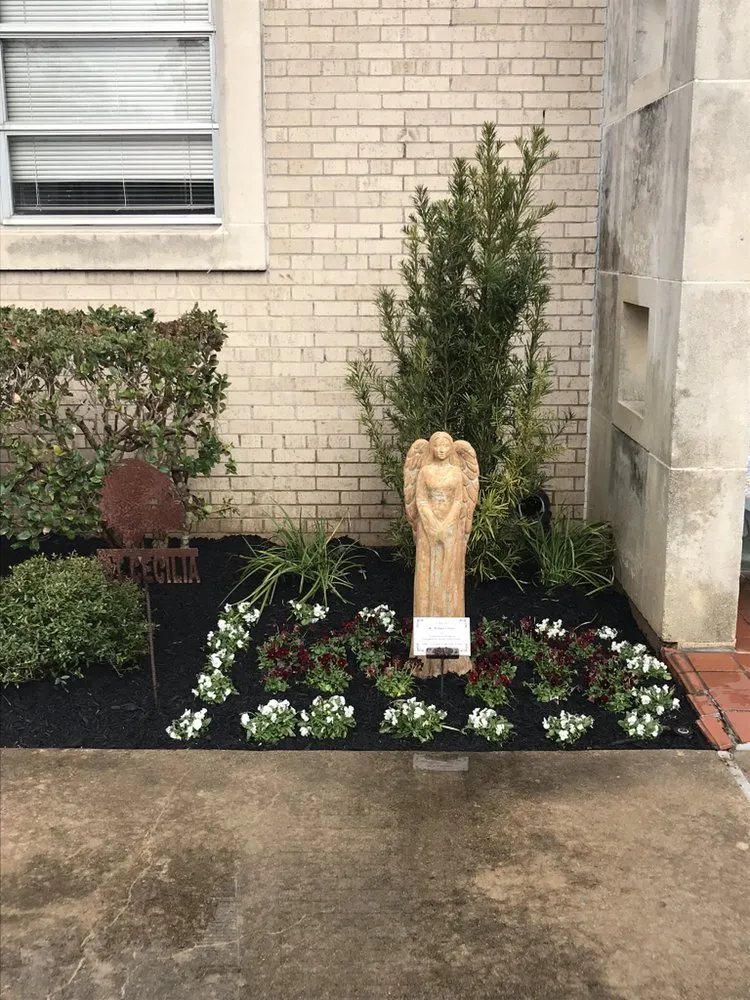 Expert yard cleanup service for beautiful yards across Magnolia, TX - Gardenmania Landscaping