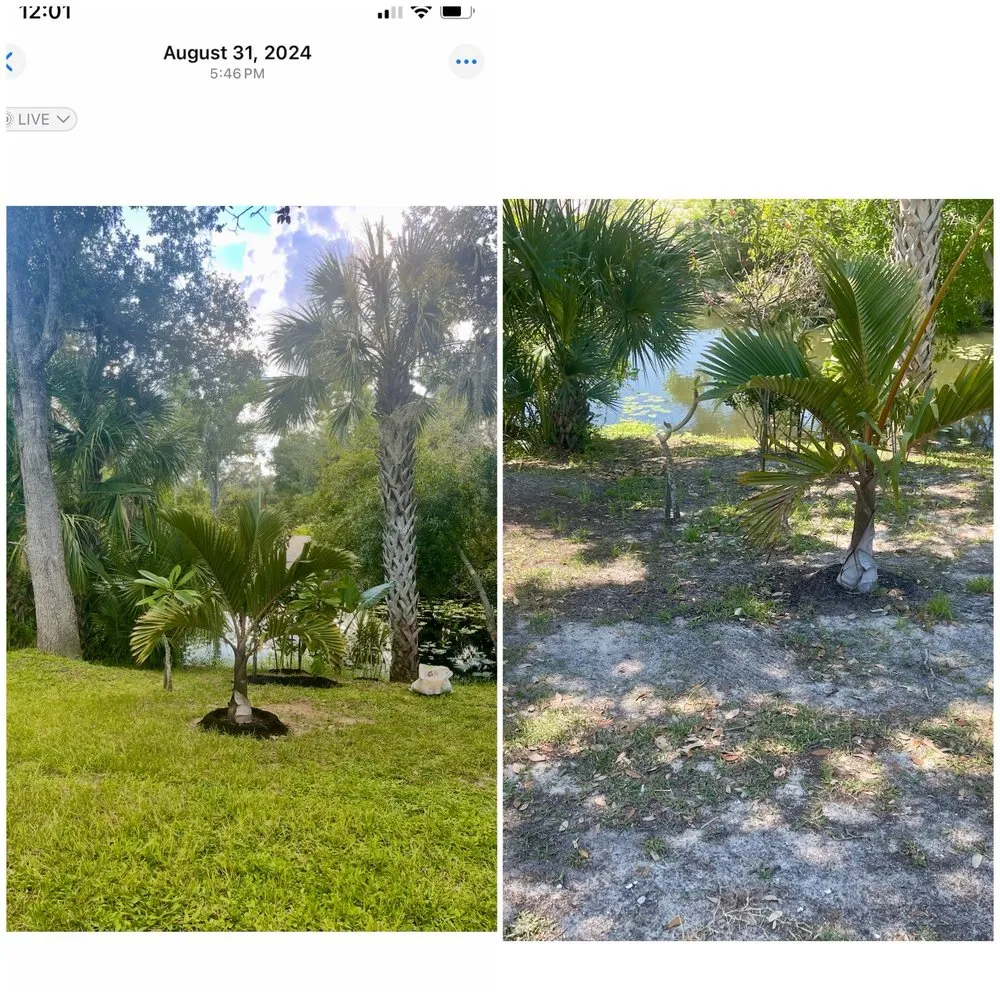 Custom outdoor landscaping for outdoor upgrades in Venice, FL by Gardenmasters