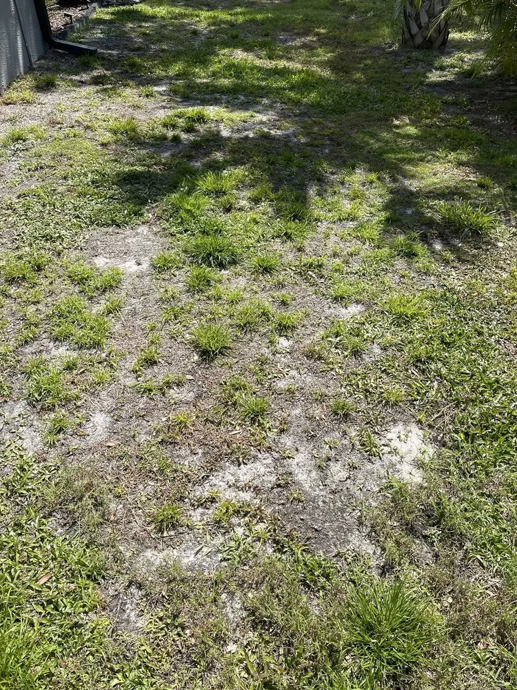 Custom lawn care service experts serving Venice, FL - Gardenmasters