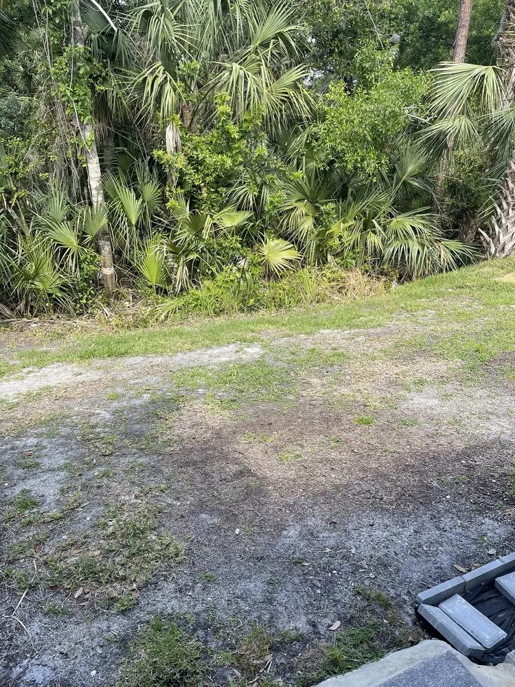 Reliable garden landscaping for beautiful yards in Venice, FL by Gardenmasters