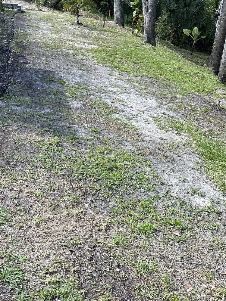 Custom lawn care service in Venice, FL by Gardenmasters