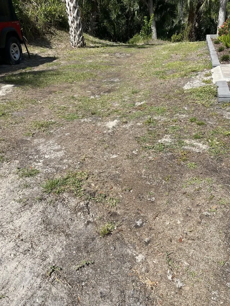 Affordable landscaping services in Venice, FL by Gardenmasters