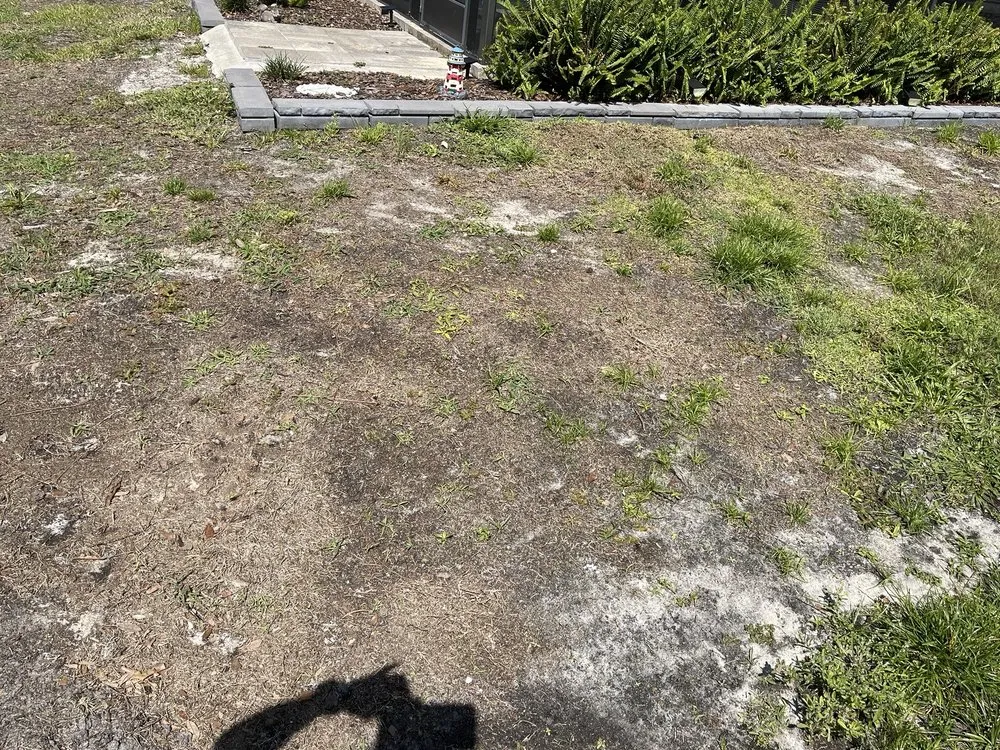 Trusted residential landscaping for year-round maintenance in Venice, FL by Gardenmasters