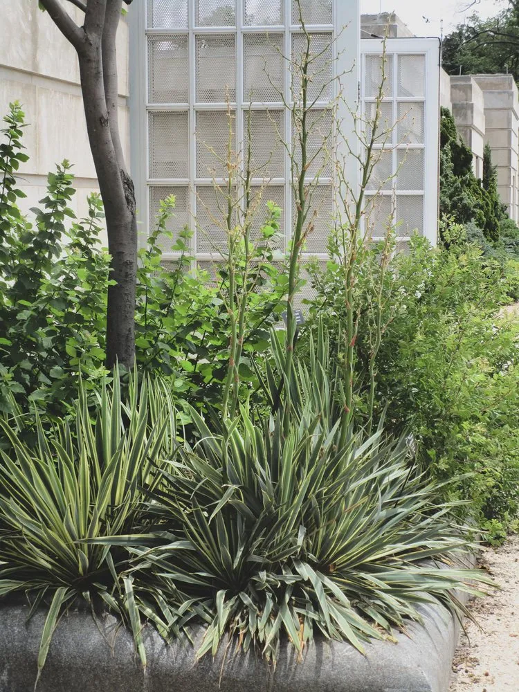 Reliable yard maintenance in Austin, TX - GardenOlogy