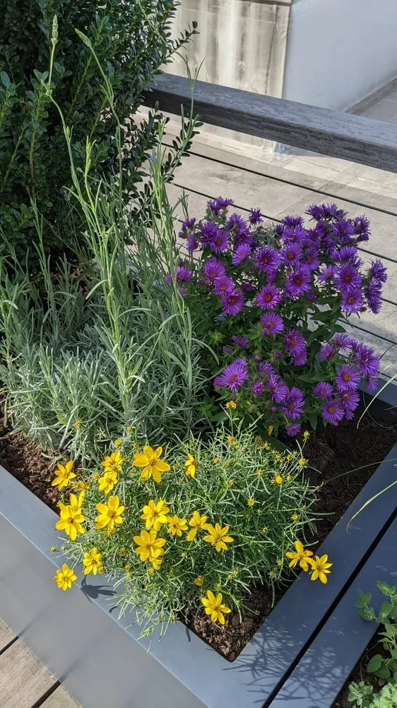 Professional lawn mowing service with custom design in Bethesda, MD by Gardenology