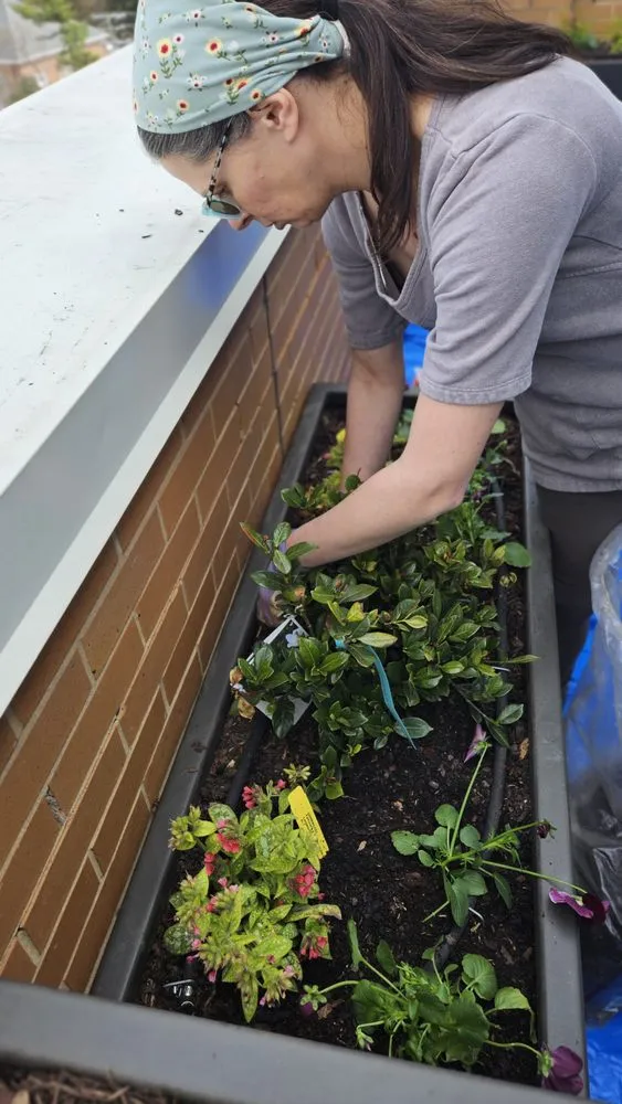 Professional lawn care service in Bethesda, MD - Gardenology