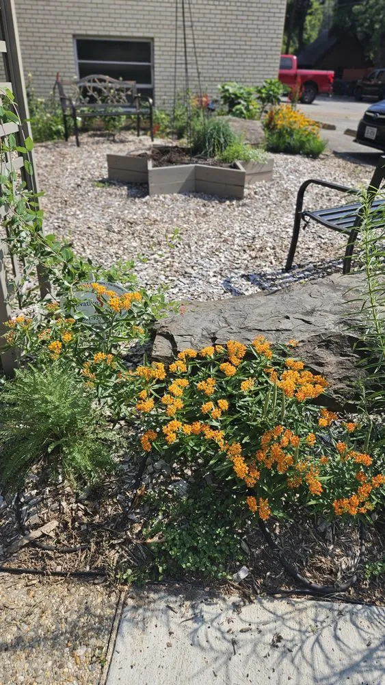 Trusted garden landscaping experts serving Bethesda, MD - Gardenology