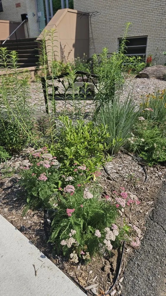 Top-rated residential landscaping in Bethesda, MD - Gardenology