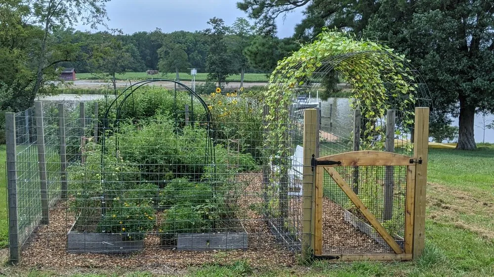 Affordable landscaping services for outdoor upgrades across Bethesda, MD - Gardenology