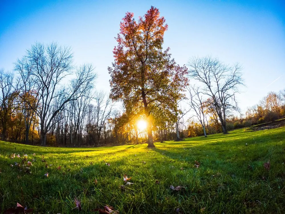 Reliable landscape design in Annandale, NJ by Gardenprocare