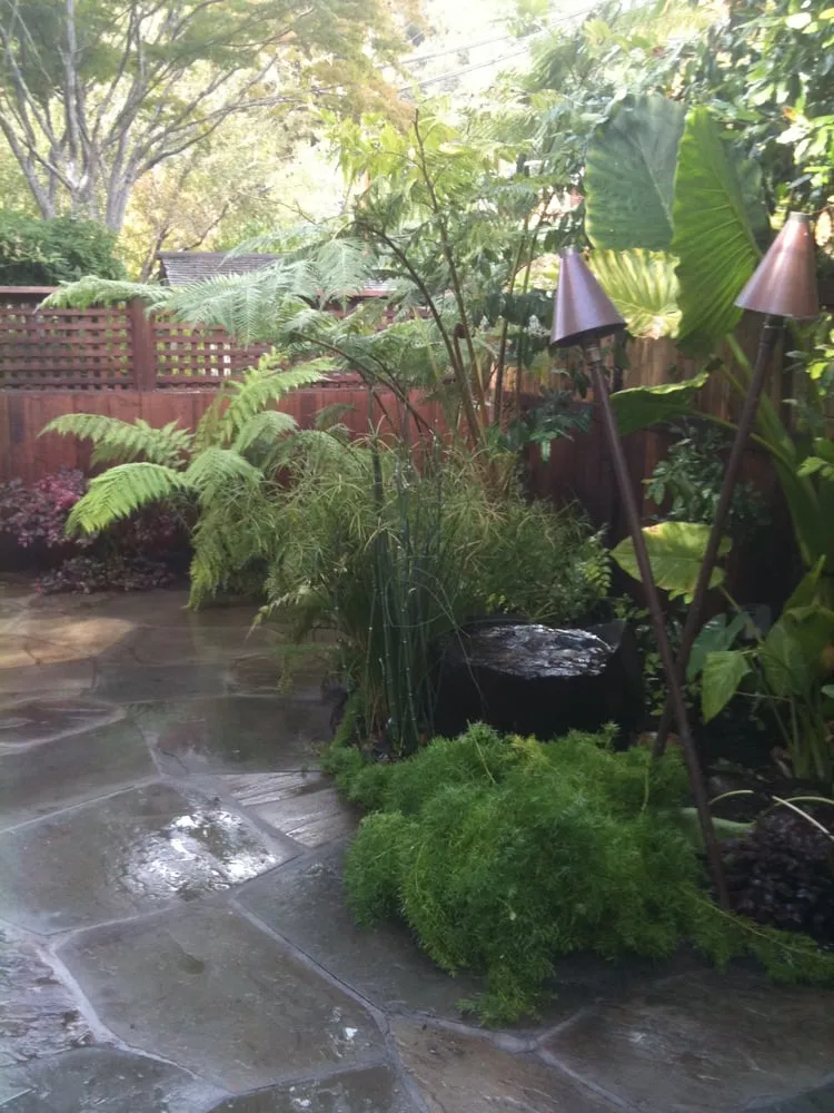 Top-rated lawn care service for homes across San Rafael, CA - Gardens & Gables