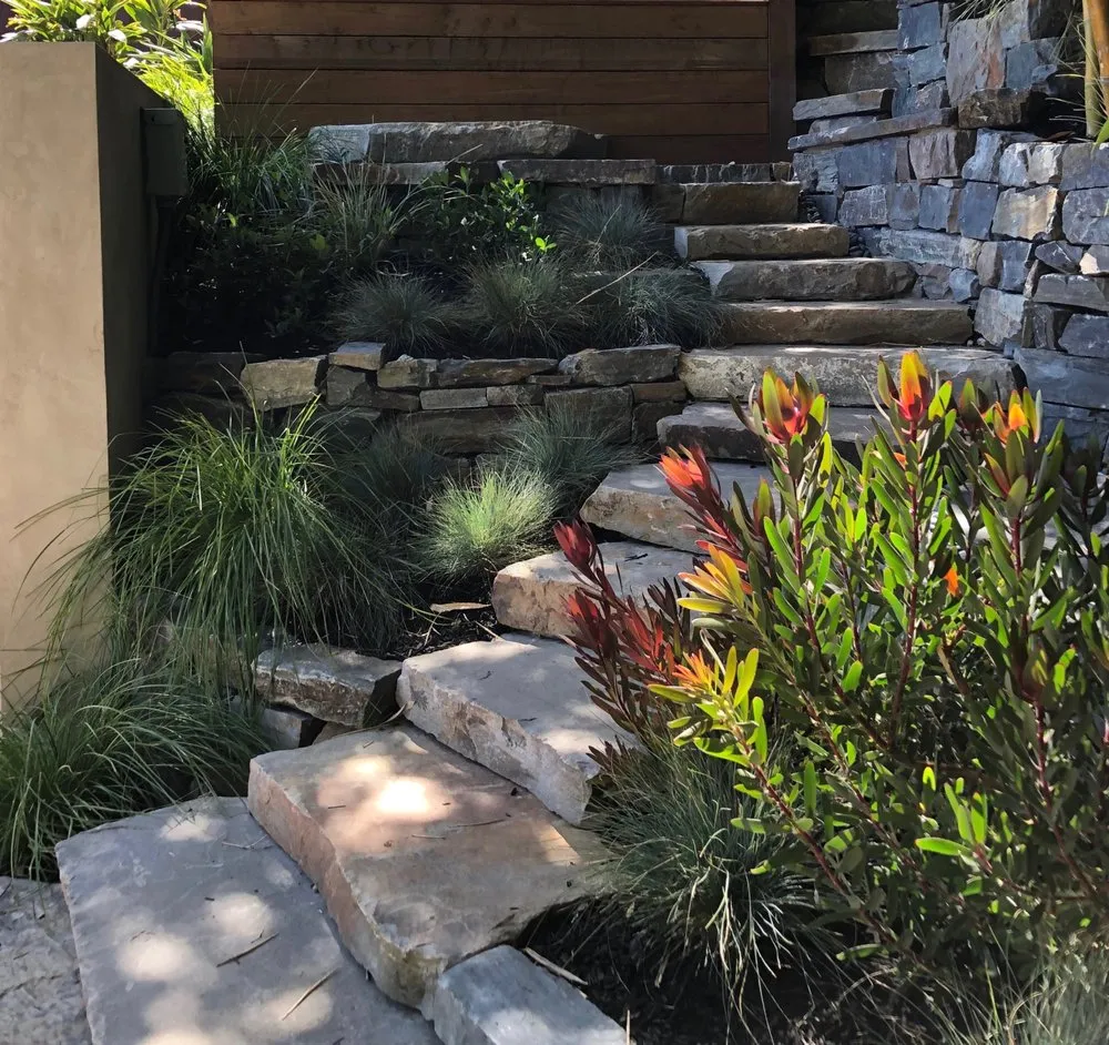 Local yard cleanup service with custom design in San Rafael, CA by Gardens & Gables