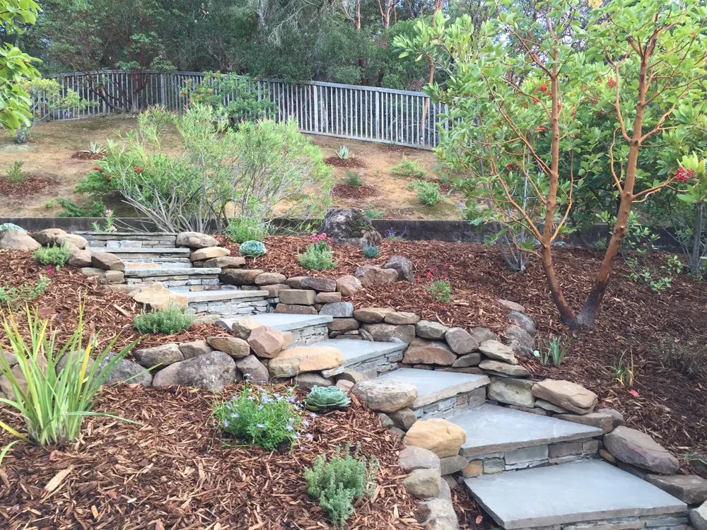 Trusted lawn care service in San Rafael, CA - Gardens & Gables