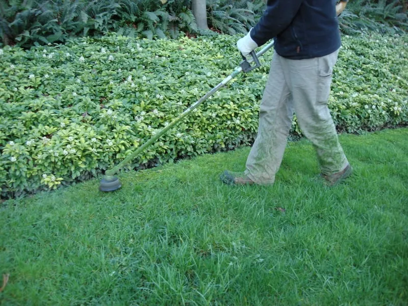 Reliable landscape design with custom design across Baton Rouge, LA - Gardens & Grounds