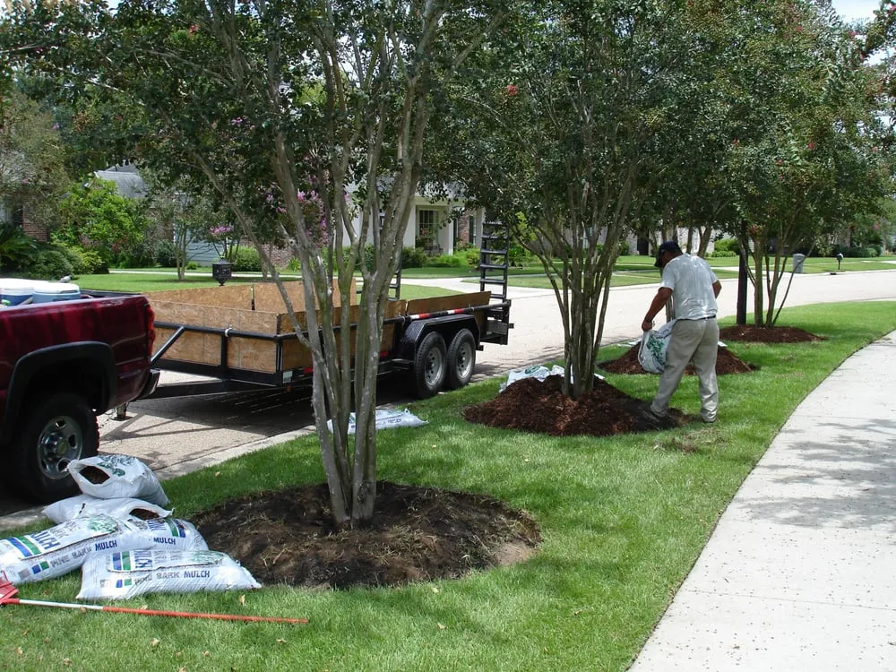 Expert residential landscaping in Baton Rouge, LA by Gardens & Grounds