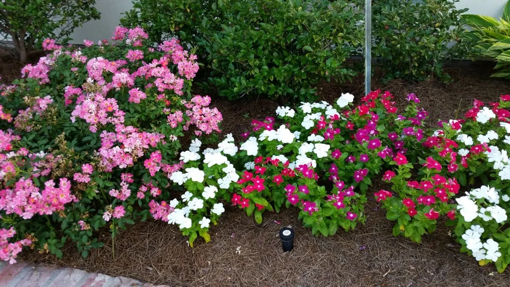 Custom outdoor landscaping in Baton Rouge, LA - Gardens & Grounds