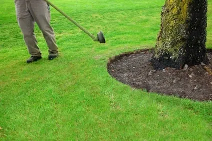 Custom garden landscaping in Baton Rouge, LA - Gardens & Grounds